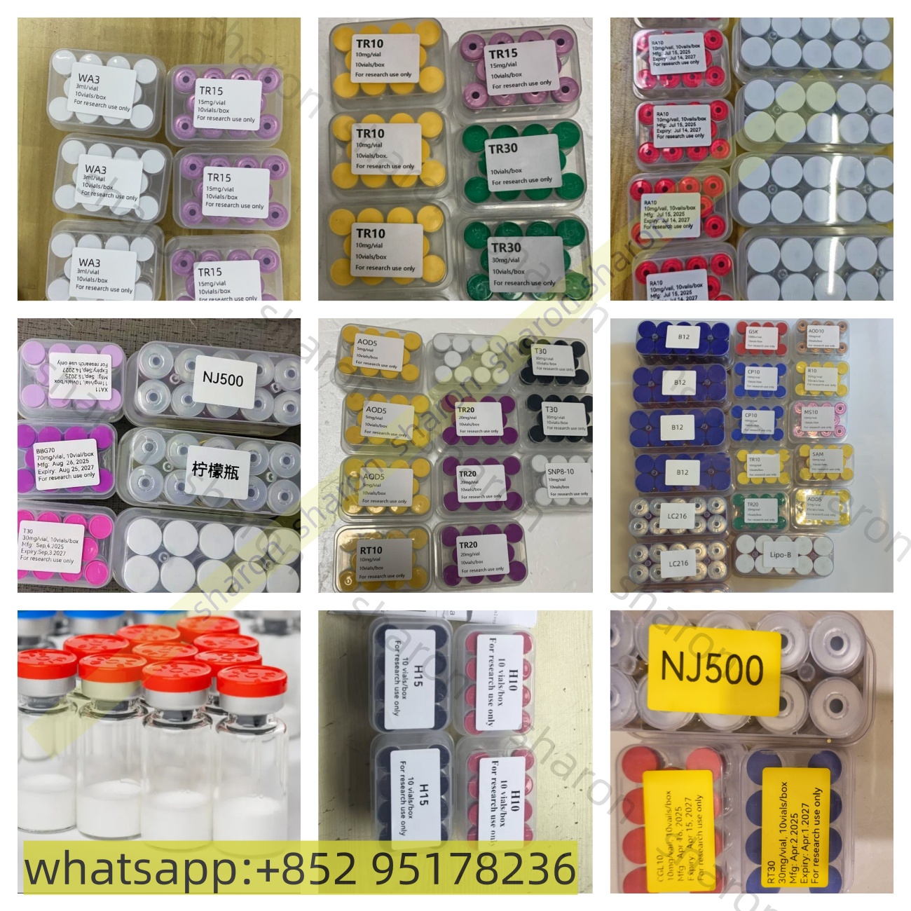 peptide (1)_副本 水印.jpg