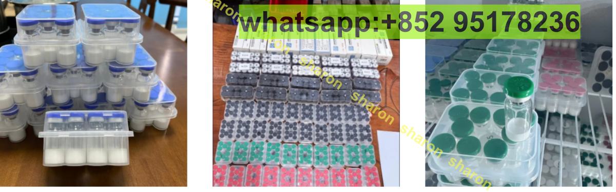 b1200.png